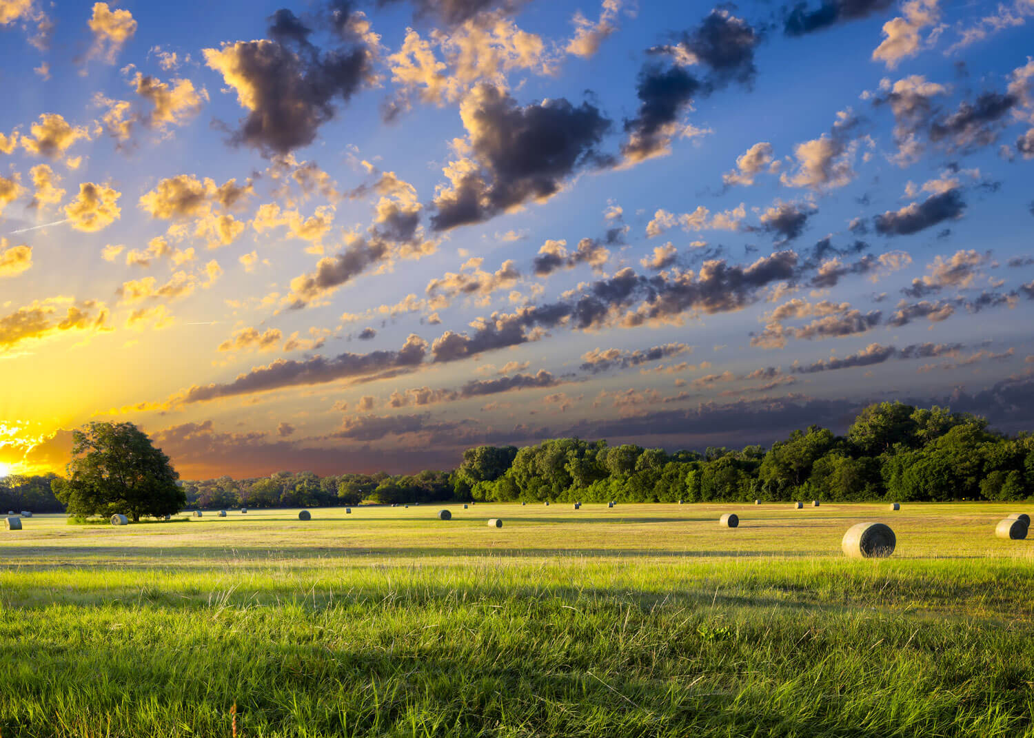Purchasing Rural Property in Texas