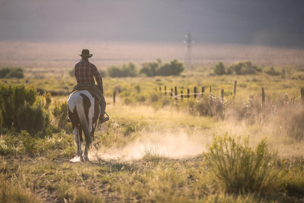 investing in a ranch